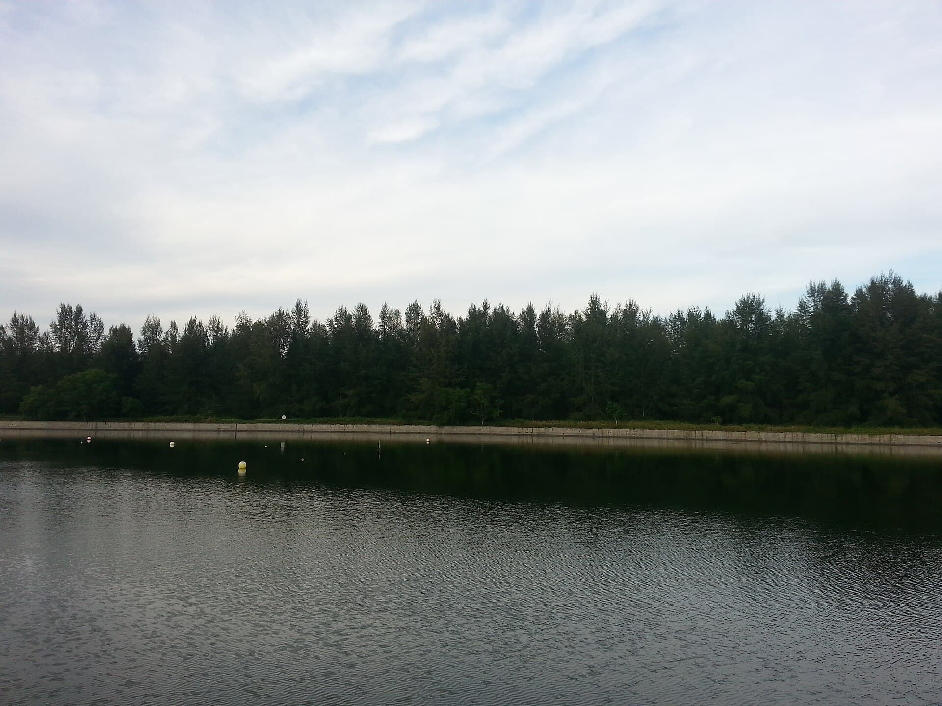 Casuarina shoreline of Coney Island seen from Punggol Promenade