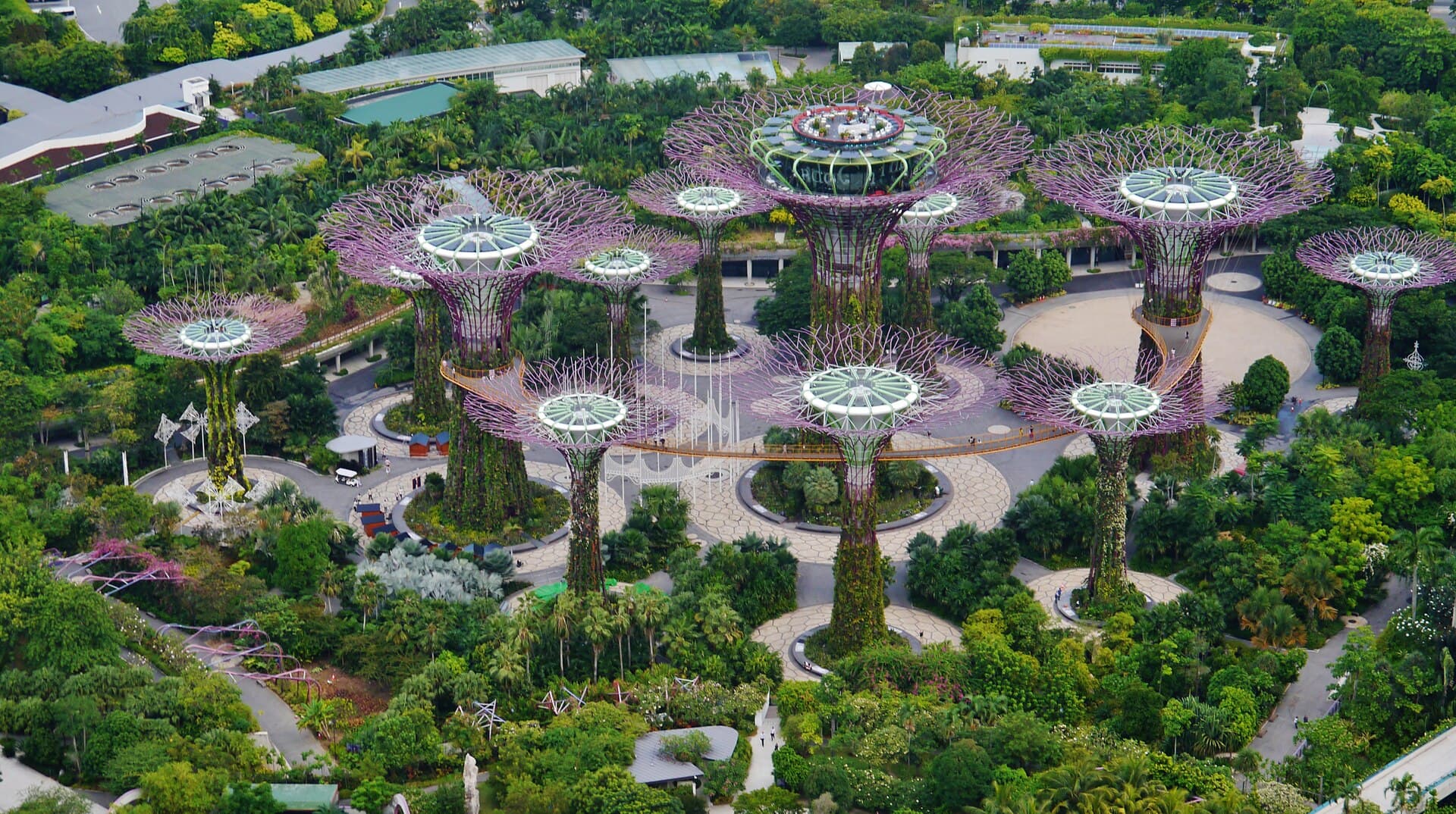 Gardens by the Bay and the Supertrees seen from Marina Bay Sands