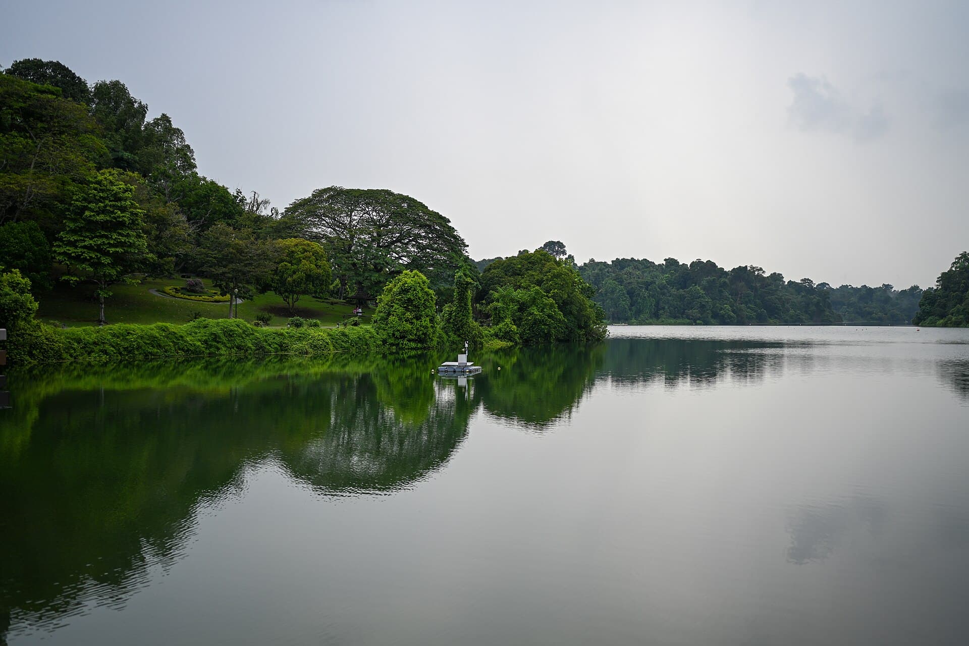 MacRitchie Reservoir Park with the water and tree line on a clear day