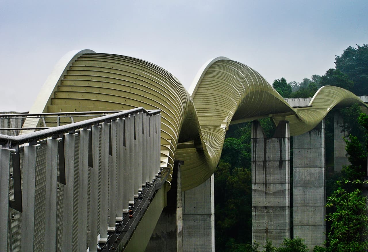 Henderson Waves pedestrian bridge seen from below against the sky